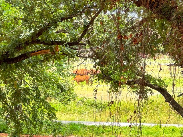 TBD C Turpin Lake Road, Poolville, TX 76487