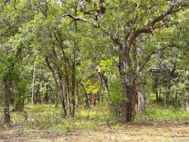 TBD C Turpin Lake Road, Poolville, TX 76487