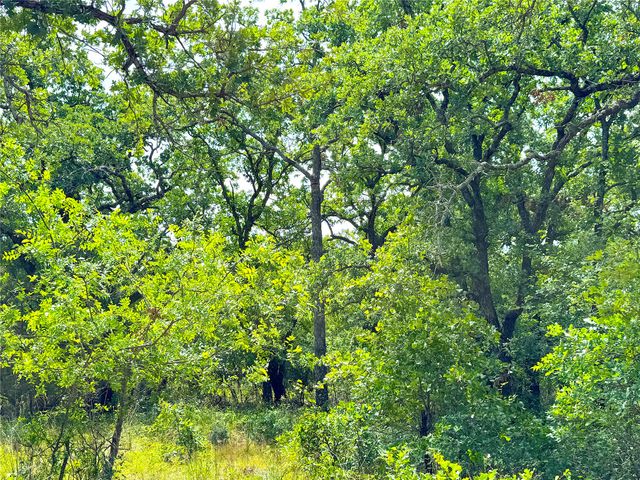 TBD C Turpin Lake Road, Poolville, TX 76487