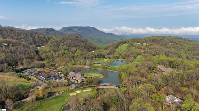 8 Rustic Court, Landrum, SC 29356