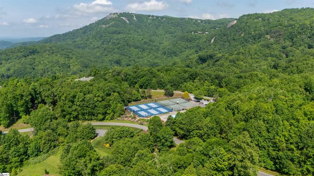 8 Rustic Court, Landrum, SC 29356