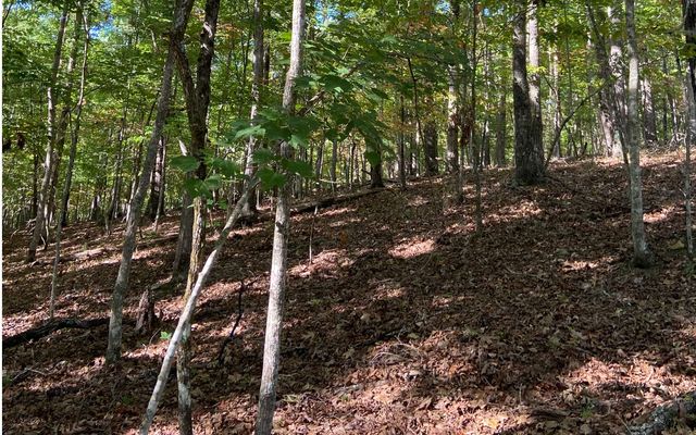Lot 41 Ridge Drive, Morganton, GA 30560