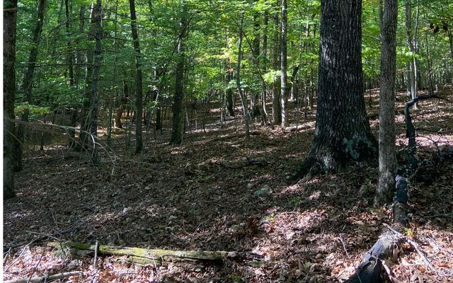 Lot 41 Ridge Drive, Morganton, GA 30560