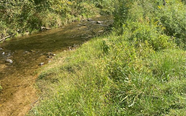 Lot 41 Ridge Drive, Morganton, GA 30560