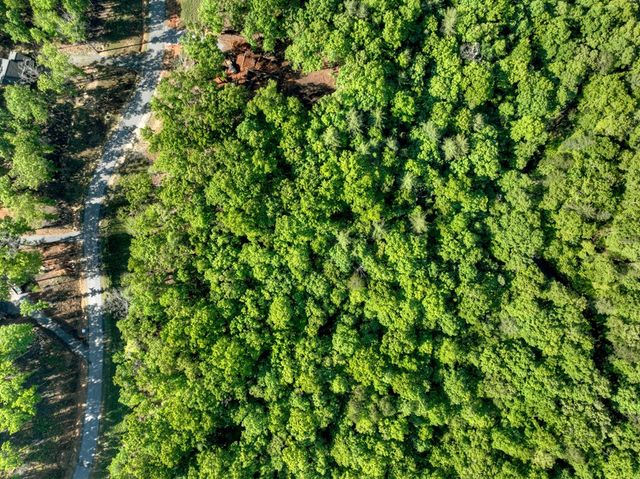 Lot 41 Ridge Drive, Morganton, GA 30560