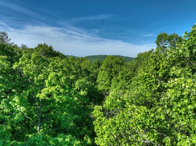 Lot 41 Ridge Drive, Morganton, GA 30560
