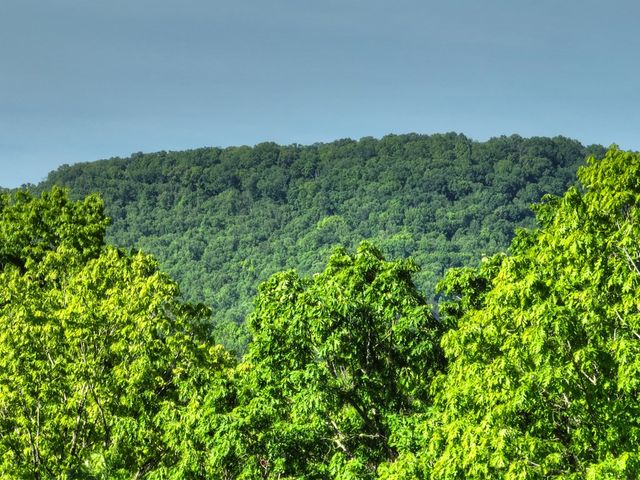 Lot 41 Ridge Drive, Morganton, GA 30560