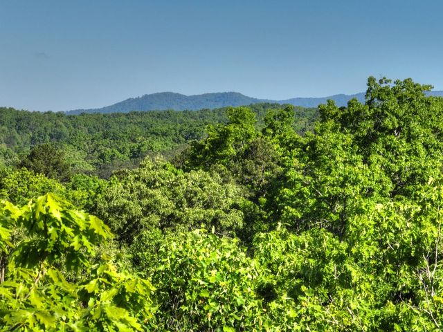 Lot 41 Ridge Drive, Morganton, GA 30560