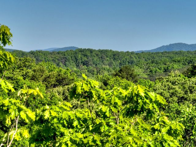 Lot 41 Ridge Drive, Morganton, GA 30560