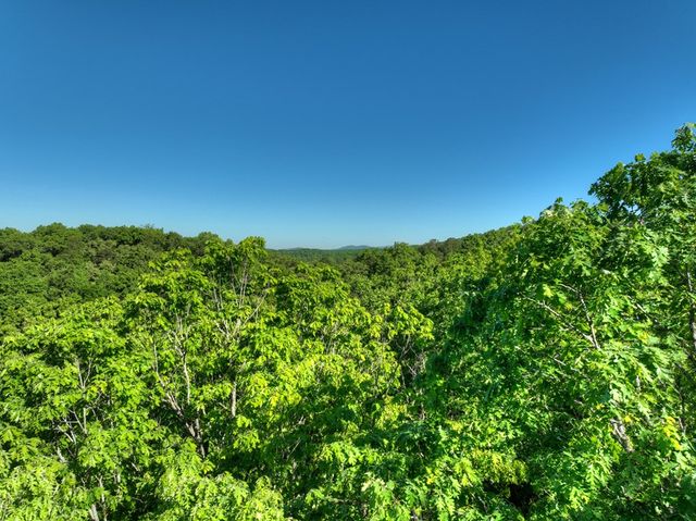 Lot 41 Ridge Drive, Morganton, GA 30560