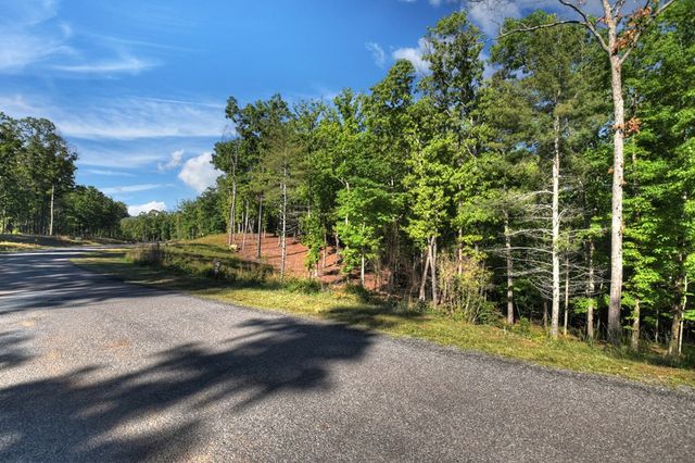 Lot 41 Ridge Drive, Morganton, GA 30560