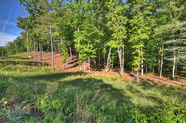 Lot 41 Ridge Drive, Morganton, GA 30560