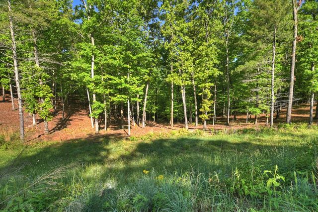 Lot 41 Ridge Drive, Morganton, GA 30560