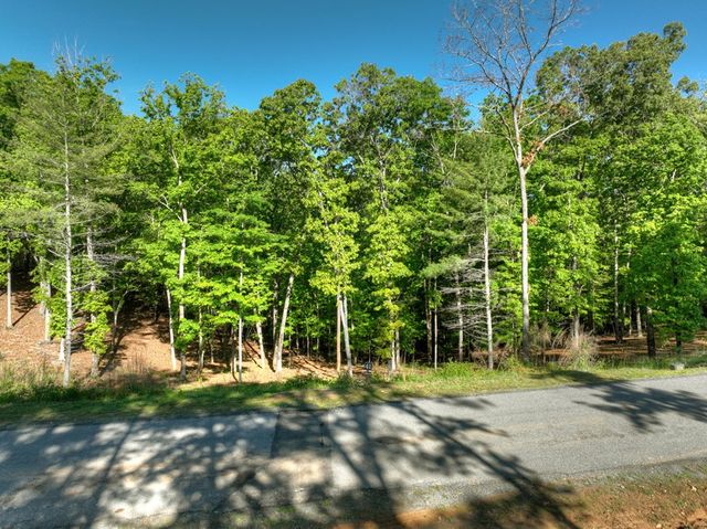 Lot 41 Ridge Drive, Morganton, GA 30560