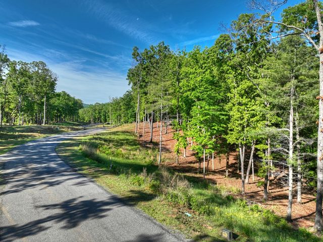 Lot 41 Ridge Drive, Morganton, GA 30560