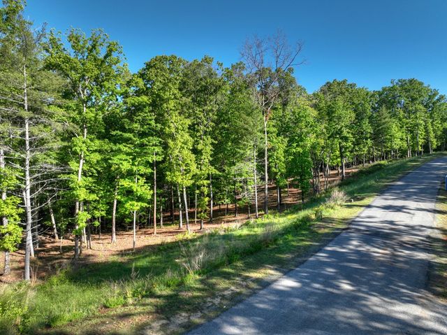 Lot 41 Ridge Drive, Morganton, GA 30560