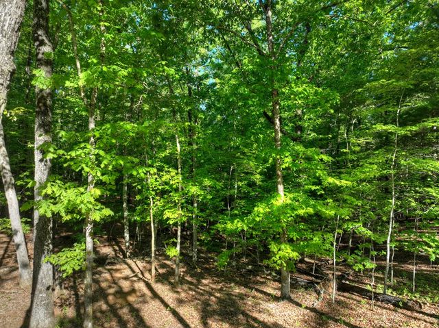 Lot 41 Ridge Drive, Morganton, GA 30560