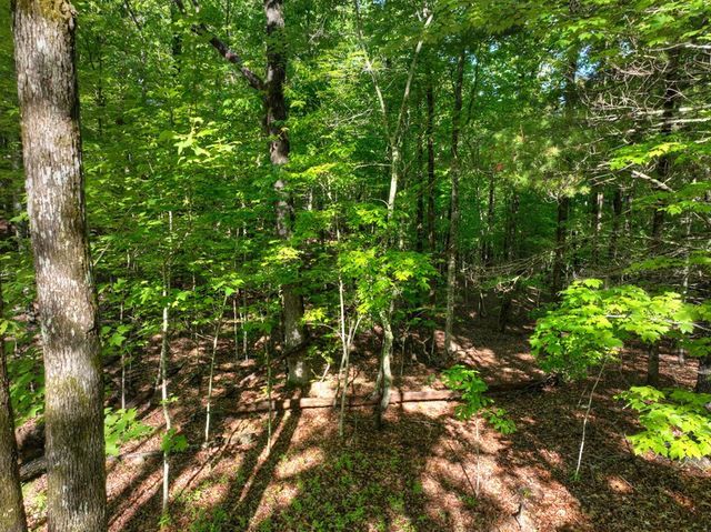 Lot 41 Ridge Drive, Morganton, GA 30560