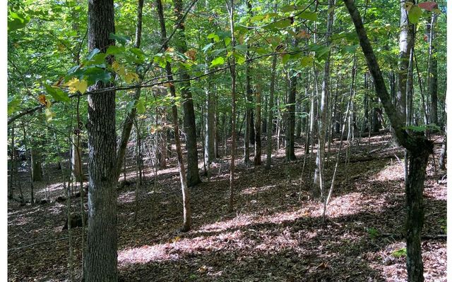 Lot 41 Ridge Drive, Morganton, GA 30560
