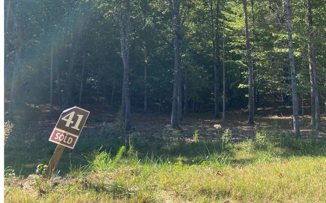 Lot 41 Ridge Drive, Morganton, GA 30560