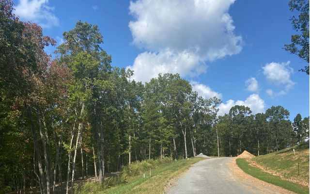 Lot 41 Ridge Drive, Morganton, GA 30560
