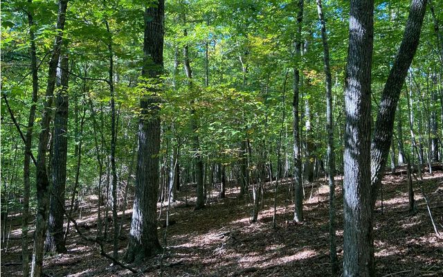 Lot 41 Ridge Drive, Morganton, GA 30560