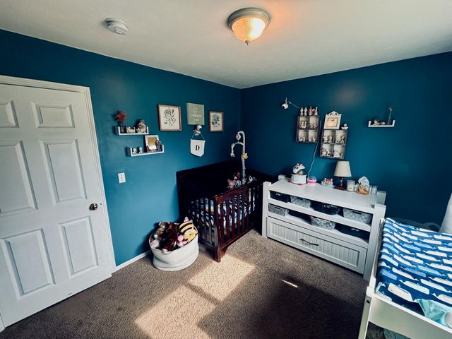6097 S Johnson Road, Greenville, MI 48838