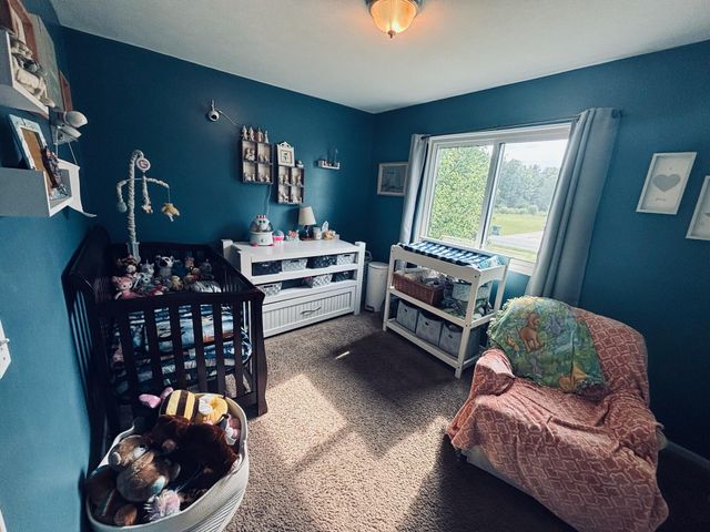 6097 S Johnson Road, Greenville, MI 48838