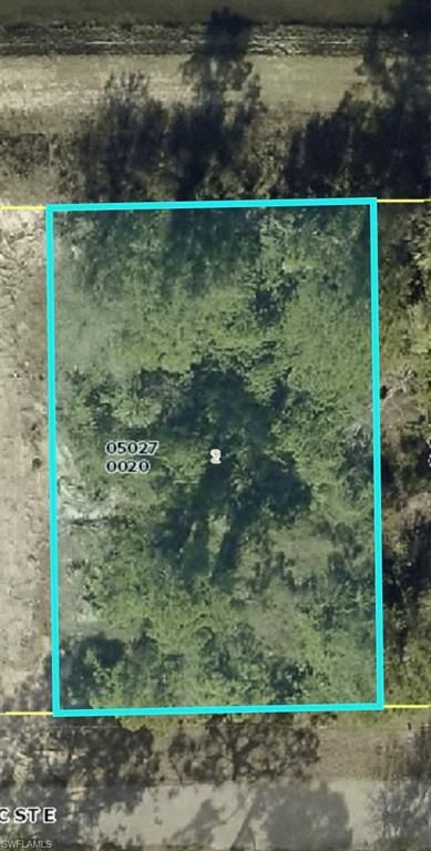 1107 Artic ST E, LEHIGH ACRES, FL 33974 — exterior