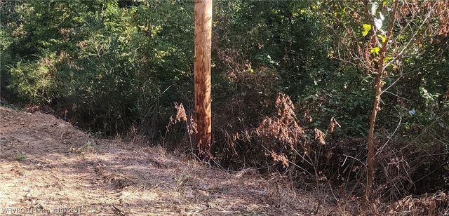 TBD Arkansas Street, Van Buren, AR 72956