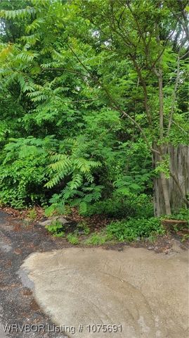 TBD Arkansas Street, Van Buren, AR 72956