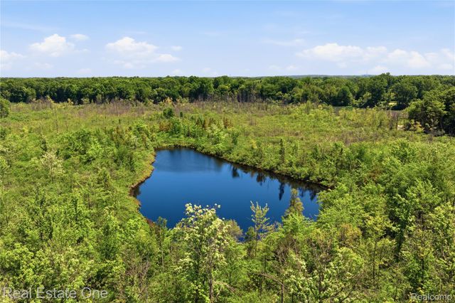 000 Dorr Road, Genoa Township, MI 48114