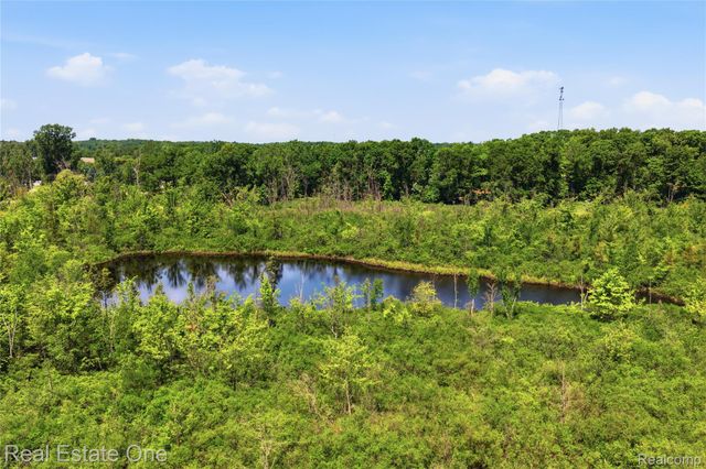 000 Dorr Road, Genoa Township, MI 48114