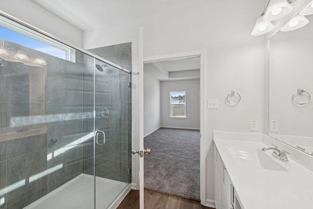 10907 Amador Peak Drive, Rosharon, TX 77583