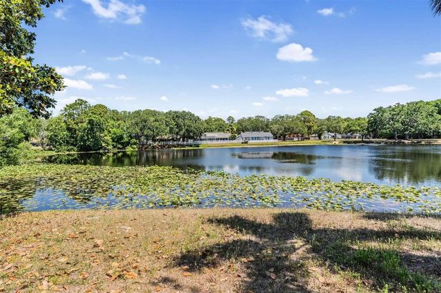 7329 OTTER CREEK DRIVE, New Port Richey, FL 34655