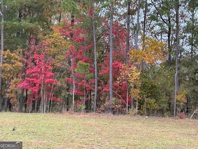 1021 Savannah Way, Griffin, GA 30223