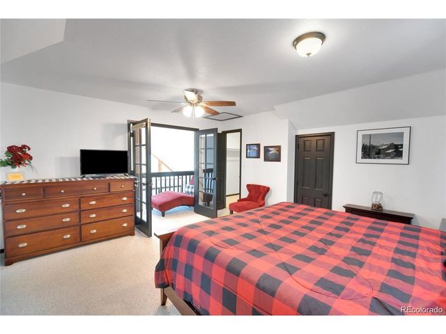 496 Quartzville Rd, Alma, CO 80420