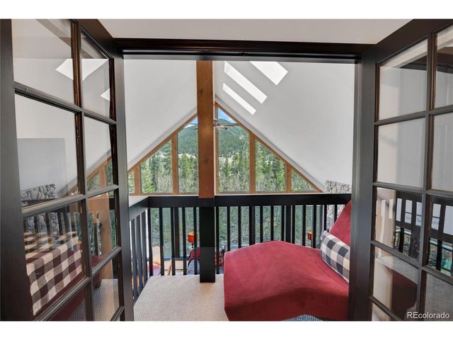 496 Quartzville Rd, Alma, CO 80420
