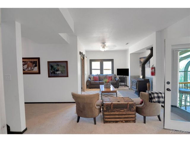 496 Quartzville Rd, Alma, CO 80420