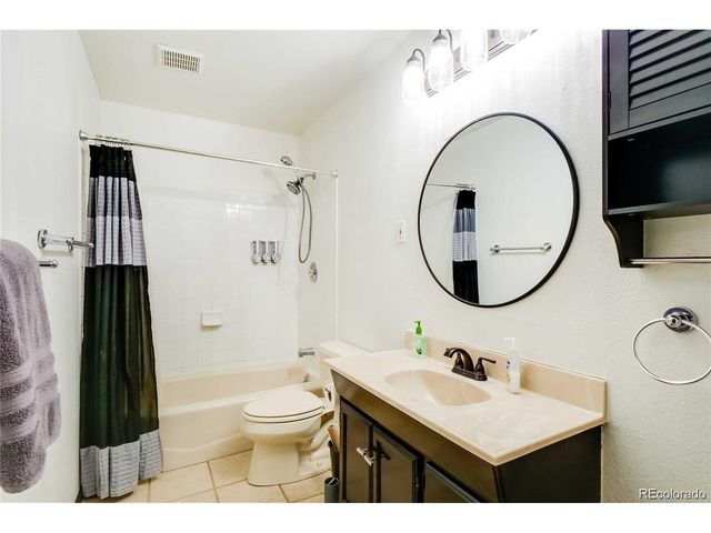496 Quartzville Rd, Alma, CO 80420