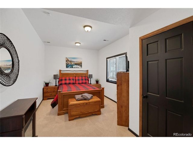496 Quartzville Rd, Alma, CO 80420