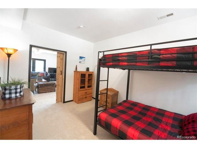 496 Quartzville Rd, Alma, CO 80420