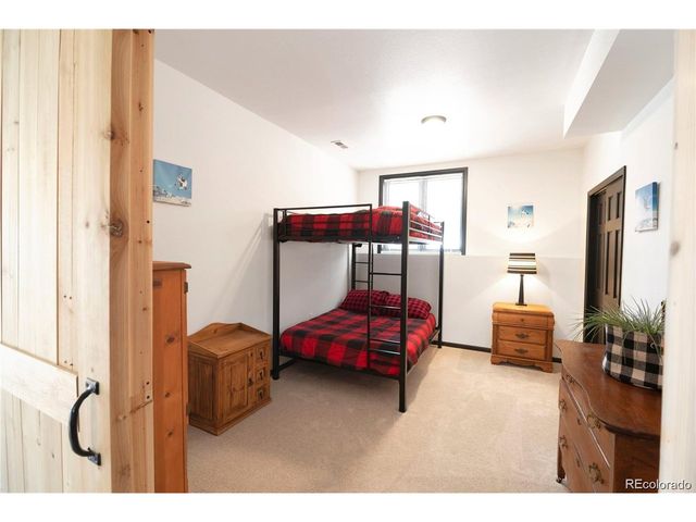 496 Quartzville Rd, Alma, CO 80420