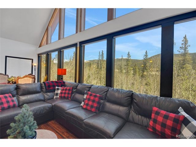 496 Quartzville Rd, Alma, CO 80420