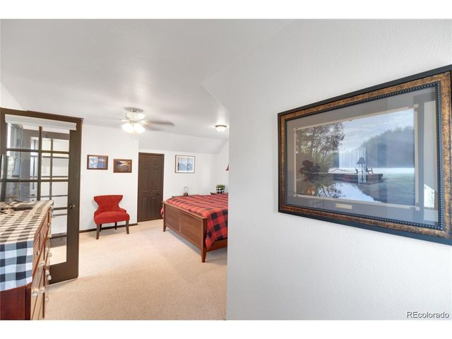 496 Quartzville Rd, Alma, CO 80420