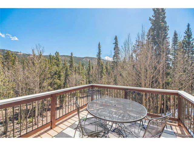 496 Quartzville Rd, Alma, CO 80420