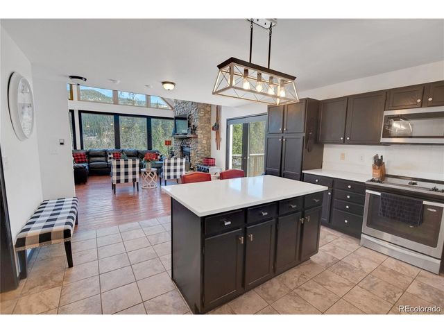 496 Quartzville Rd, Alma, CO 80420