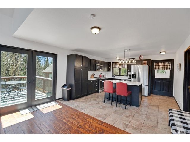 496 Quartzville Rd, Alma, CO 80420