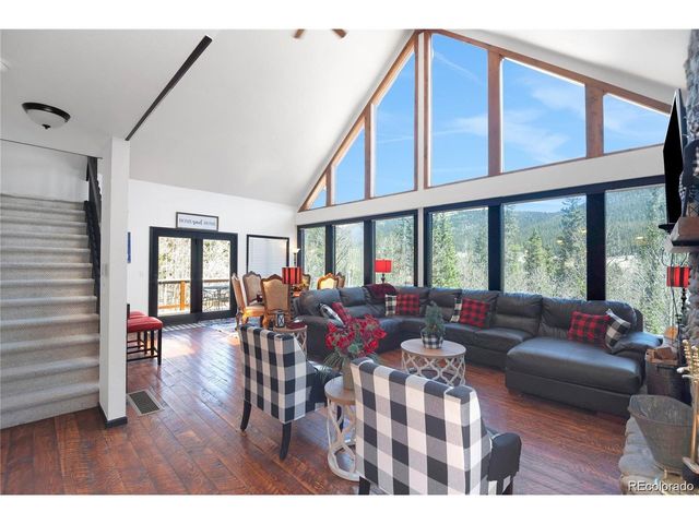 496 Quartzville Rd, Alma, CO 80420