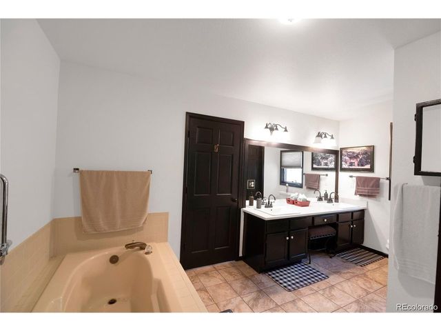 496 Quartzville Rd, Alma, CO 80420